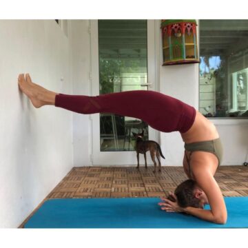 Karina Sanchez @karinasana yoga Day 7 of startatthewall with @cyogalife headstand backbend