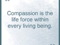 Kino MacGregor @kinoyoga Compassion is the life force within every living