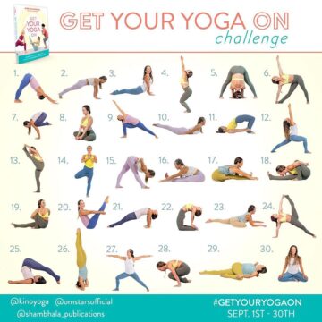 Kino MacGregor @kinoyoga Yoga Challenge GetYourYogaOn is my newest book and
