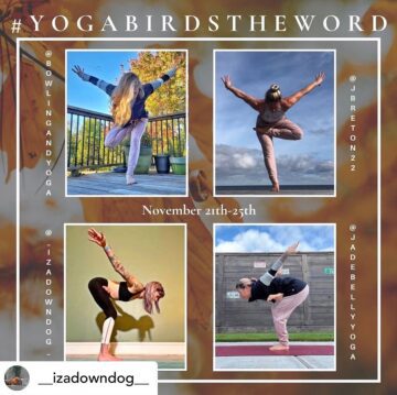 Laura Gardner Cresci @lauracresciyoga Got the call from @np49 yogi so Im