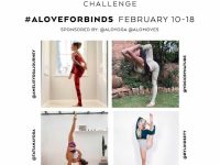 Lindseyy Lou NEW CHALLENGE ANNOUNCEMENT February 10 18 aloveforbinds 2019 20 had