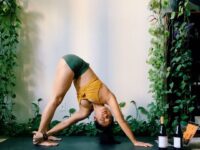 Liz Lowenstein Yoga Wellness @mizliz Happy international yoga day