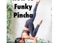 Liz Lowenstein Yoga Wellness @mizliz How to Funky Pincha Important