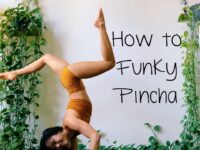 Liz Lowenstein Yoga Wellness @mizliz How to Funky Pincha⁣ ⁣