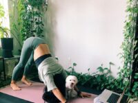 Liz Lowenstein Yoga Wellness @mizliz Were offering FREE full length