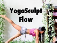 Liz Lowenstein Yoga Wellness @mizliz YogaSculpt Flow Yall I