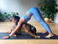 Maike Yoga Strength Fit More paw spoiling Sorry