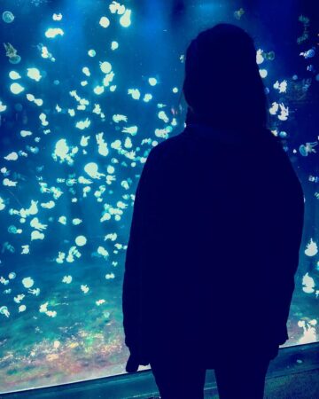 Mathilde ☾ yoga teacher @mathildoesyoga Dancing with the jellyfish aquarium