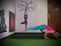 My yoga journey @laxmimoves Excellence is an art won by training