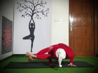 My yoga journey @laxmimoves You learn more from failure than from