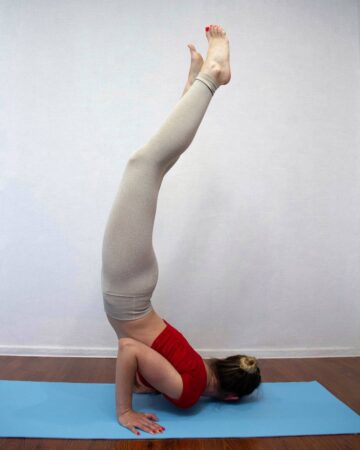 Olga Yoga 🧘‍♀️💜🕉️ @lyolya yoga Day 1x20e37x20e3 of BackOnTrack with @cyogalife