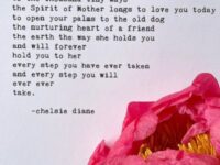 Patricia Amado @patriciaamadoyoga if your mother does not love you well