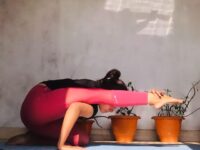 Riya Bhadauria Compasspose fold yogalove splits instayoga yogagirl fitness yogachalleng