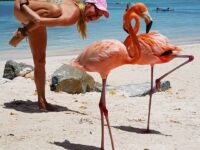 Spot the number of Flamingos Todays yogi superstar @susan yoga nature