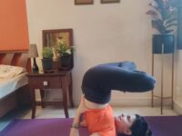 Suman Chhabria @yogaanaya Padma Sarvangasana Shoulder Stand Lotus Pose brings us