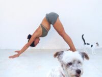Suzy Yoga Tutorials @bringmeyoga Photobomb So this clearly was not