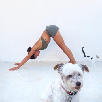 Suzy Yoga Tutorials @bringmeyoga Photobomb So this clearly was not