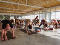 The 200 Hour Yoga Teacher Training Courses by @oneyogathailand are