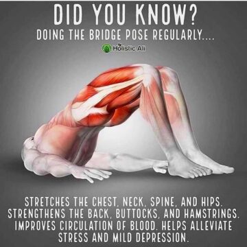Upgrade Your Yoga Practice @howtopracticeyoga Bridge pose has so many benefits