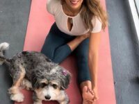 WIWORLDANDI @wiworldandi Our pets can benefit from yoga too Our dogs