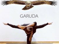 YOGA Can you do the Garuda Pose @cat shanti