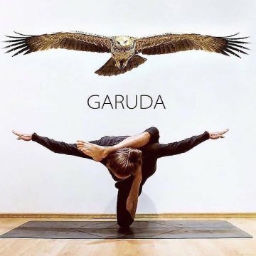 YOGA Can you do the Garuda Pose @cat shanti