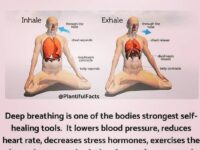 YOGA DIABLO @yogadiablo Yoga Breathing or Pranayama is the foundation of your yoga