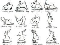 Yoga Daily Poses @yogadailyposes And Happy Easter to all of those