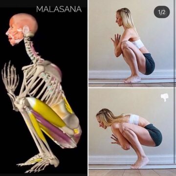 Yoga Daily Poses @yogadailyposes How To Malasana Malasana Garland