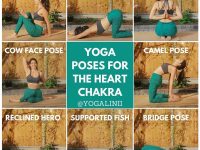 Yoga Daily Progress Follow @yogadailycommunity As always listen to your