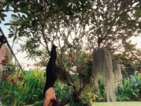 Yoga Fitness @terataiyoga Under the Kamboja Tree also known in