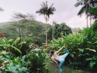 Yoga Travel Eco Living @liana scott  Dancer pose looks so nice