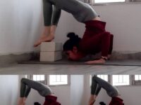 Yoga girl Shama @peaceful yogini  shama Success isnt something that just happens