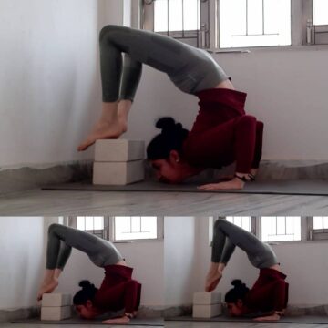 Yoga girl Shama @peaceful yogini  shama Success isnt something that just happens