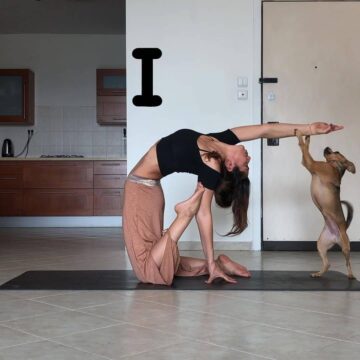 yogagirls @yogagirlstv Pawsnal helper Todays yogi superstar @yogavered ⠀ Follow @yogagirlstv⠀