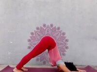 yogagirls @yogagirlstv Todays yogi superstar @udisha yadav ⠀ Follow @yogagirlstv⠀ Follow @yogagirls