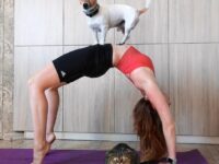 yogagirls @yogagirlstv What the dog doin Todays yogi superstar @kseniaflint ⠀