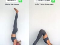 yogaloveflow INVERSION ASANAS tag your Yoga body and do not