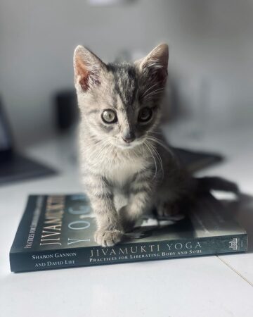 ॐ Helena @helenberankova studying with this little buddy ॐ jivamuktiyoga