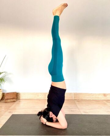 𝕄𝕖𝕖𝕟𝕒 𝕊𝕚𝕟𝕘𝕙 @meena yoga life Day 4 of headstandyunkies Legs Line up Eagle